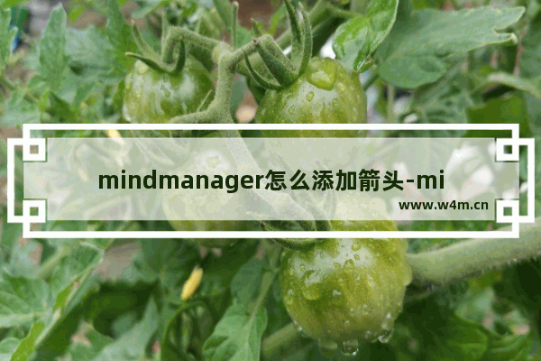 mindmanager怎么添加箭头-mindmanager添加箭头的方法