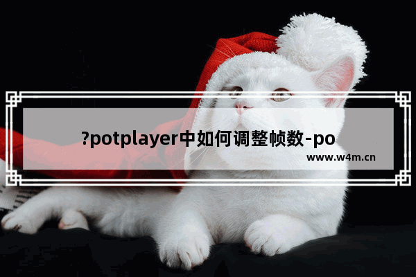 ?potplayer中如何调整帧数-potplayer中调帧率的方法教程