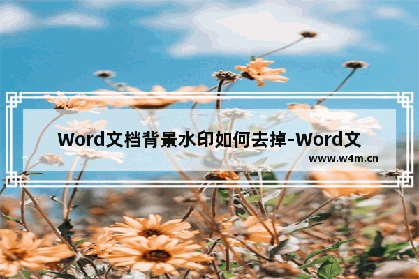 Word文档背景水印如何去掉-Word文档去掉背景水印的方法