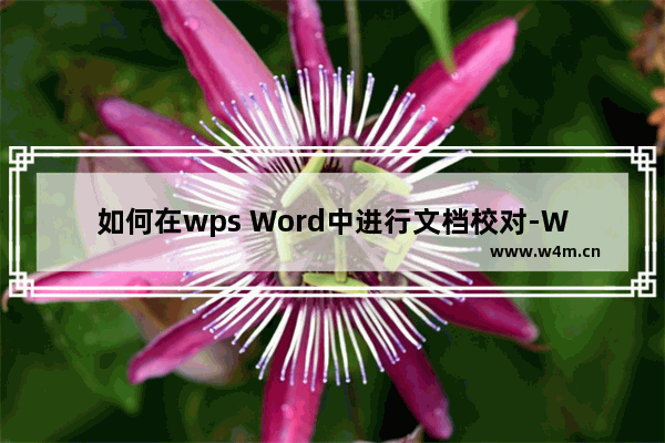 如何在wps Word中进行文档校对-WPS Word中快速检查修改文档错误的方法