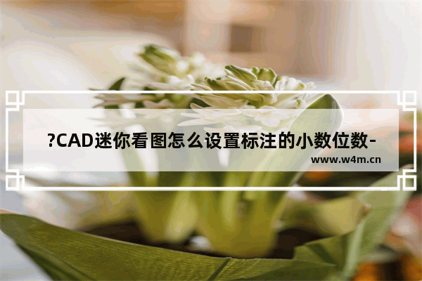 ?CAD迷你看图怎么设置标注的小数位数-CAD迷你看图修改标注精度的方法教程