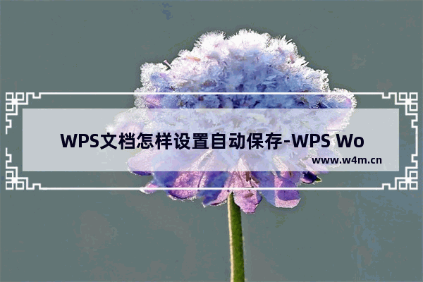 WPS文档怎样设置自动保存-WPS Word文档设置自动保存的方法