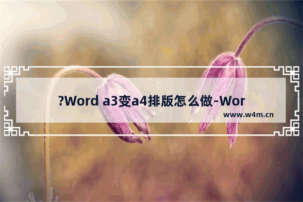 ?Word a3变a4排版怎么做-Word文档中正确将纸张设置为A4大小的方法教程