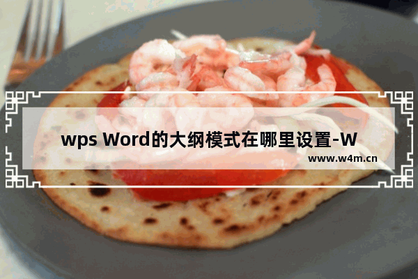 wps Word的大纲模式在哪里设置-WPS word设置大纲模式的方法