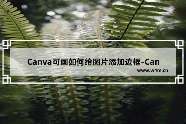 Canva可画如何给图片添加边框-Canva可画给图片添加边框的方法