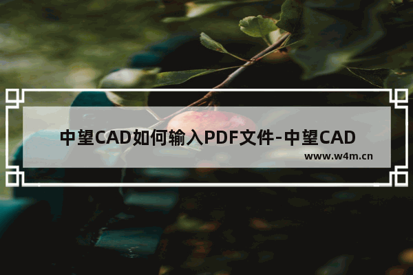 中望CAD如何输入PDF文件-中望CAD 2023导入PDF文件的方法