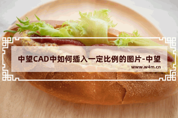 中望CAD中如何插入一定比例的图片-中望CAD 2023插入一定比例的图片的方法