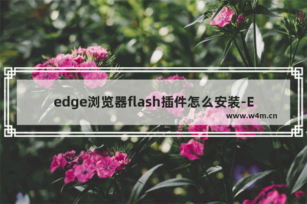 edge浏览器flash插件怎么安装-Edge浏览器添加flash插件的方法