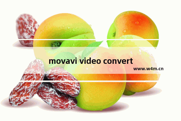 movavi video converter如何消除视频噪音-movavi video converter消除视频噪音的方法