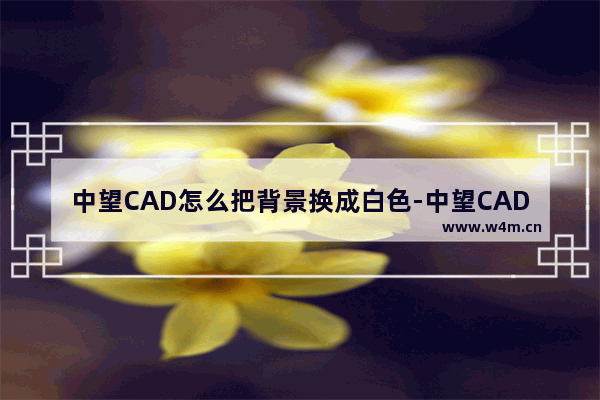 中望CAD怎么把背景换成白色-中望CAD2023把黑色背景调成白色的方法