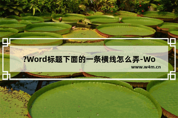 ?Word标题下面的一条横线怎么弄-Word文档在文字下边添加横线的方法教程