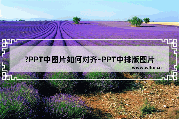 ?PPT中图片如何对齐-PPT中排版图片时调整对齐的方法教程