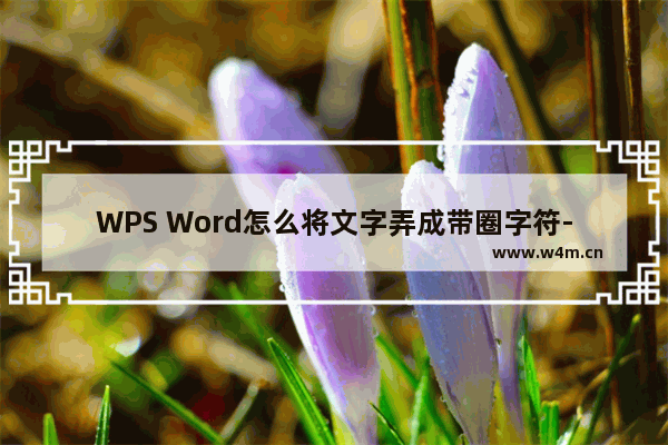 WPS Word怎么将文字弄成带圈字符-WPS Word把文字设置成带圈字符的方法