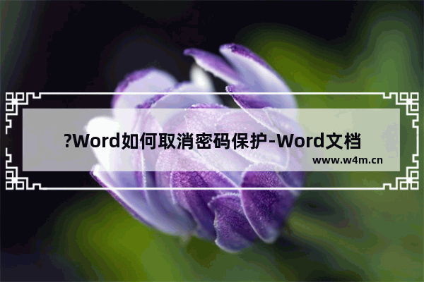 ?Word如何取消密码保护-Word文档解除密码的方法教程