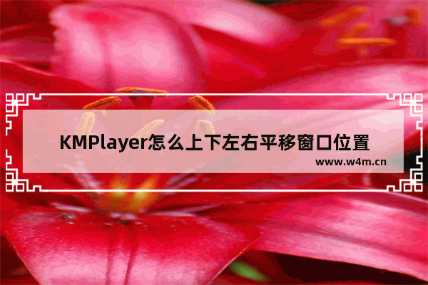 KMPlayer怎么上下左右平移窗口位置-KMPlayer上下左右平移窗口位置的方法