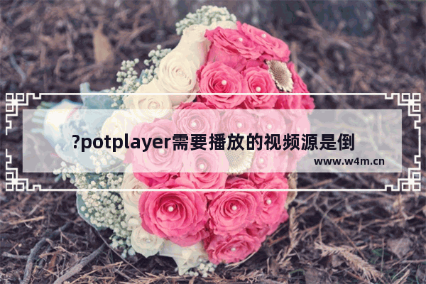 ?potplayer需要播放的视频源是倒的怎么翻转回来-potplayer将倒的视频翻转成正的方法教程