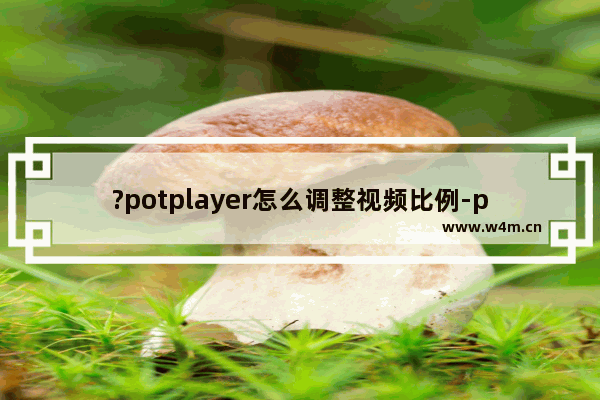 ?potplayer怎么调整视频比例-potplayer更改视频宽高比例的方法教程