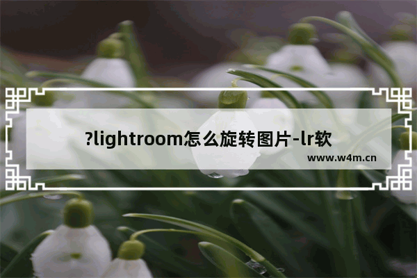 ?lightroom怎么旋转图片-lr软件旋转照片的方法教程