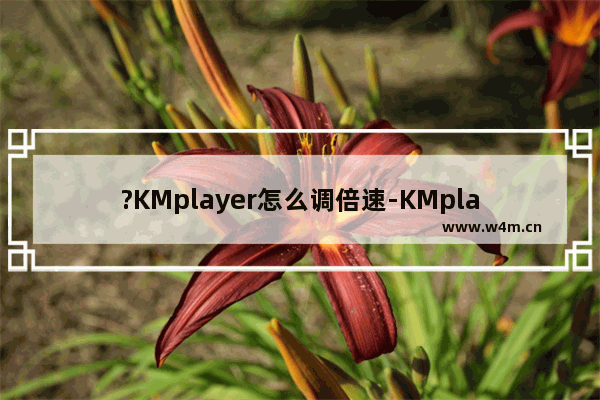 ?KMplayer怎么调倍速-KMplayer加快播放速度的方法教程