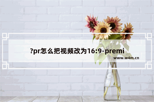 ?pr怎么把视频改为16:9-premiere将视频比例改成16:9的方法教程