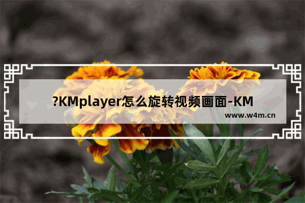 ?KMplayer怎么旋转视频画面-KMplayer倒转画面的方法教程