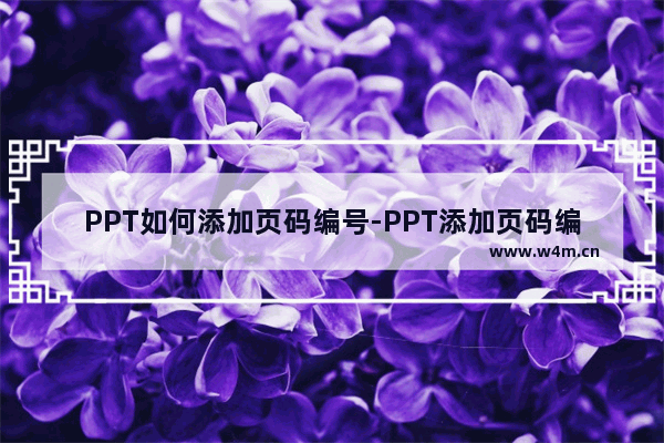 PPT如何添加页码编号-PPT添加页码编号的方法