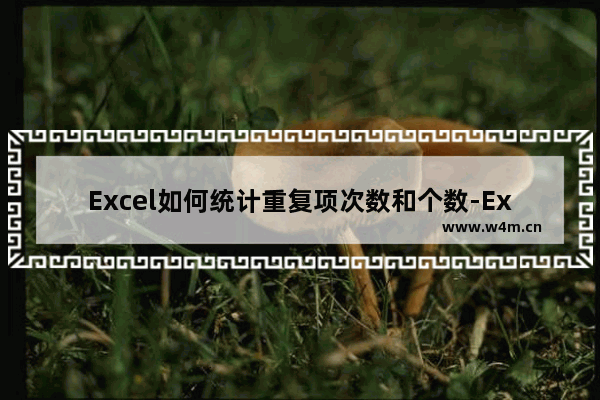 Excel如何统计重复项次数和个数-Excel统计重复项次数和个数的方法