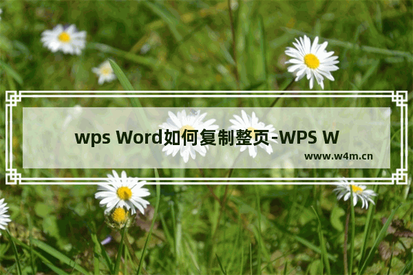 wps Word如何复制整页-WPS Word设置复制整页保留源格式的方法