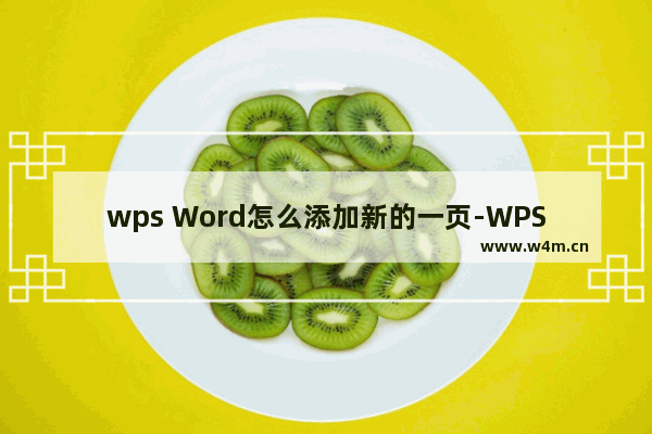 wps Word怎么添加新的一页-WPS Word文档新建空白页的方法