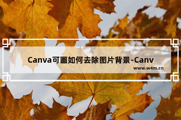 Canva可画如何去除图片背景-Canva可画去除图片背景的方法