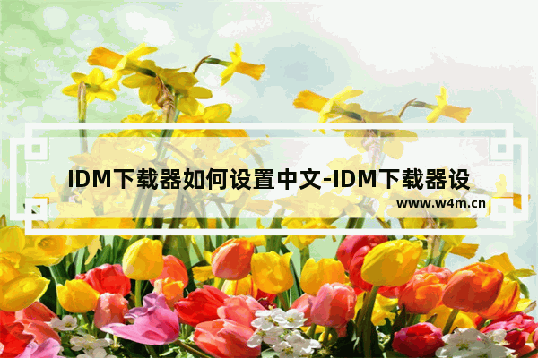 IDM下载器如何设置中文-IDM下载器设置中文的方法