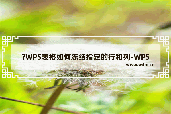 ?WPS表格如何冻结指定的行和列-WPS表格冻结任意行和列的方法教程