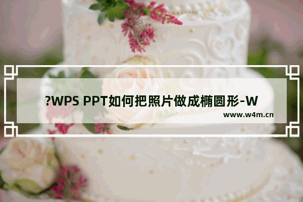 ?WPS PPT如何把照片做成椭圆形-WPS PPT把图片裁剪成一个椭圆形状的方法教程