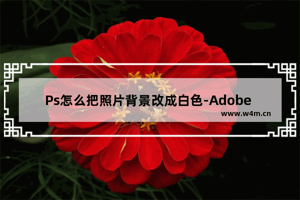 Ps怎么把照片背景改成白色-Adobe PhotoShop把图片背景换成白色的方法