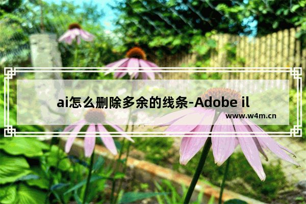 ai怎么删除多余的线条-Adobe illustrator删除多余的线条的方法