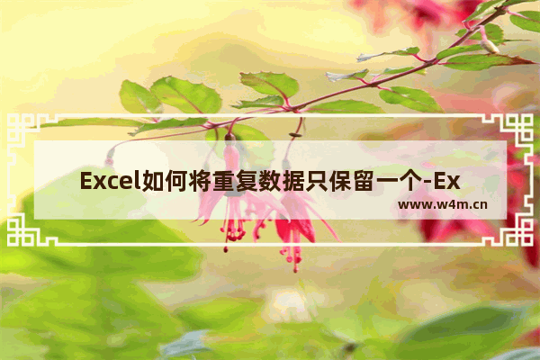 Excel如何将重复数据只保留一个-Excel将重复数据只保留一个的方法