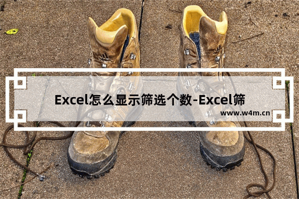 Excel怎么显示筛选个数-Excel筛选显示个数的方法