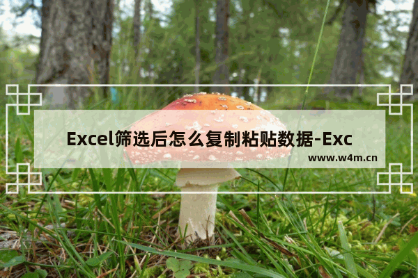 Excel筛选后怎么复制粘贴数据-Excel筛选后数据复制粘贴的方法