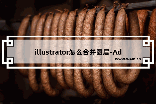 illustrator怎么合并图层-Adobe illustrator合并图层的方法