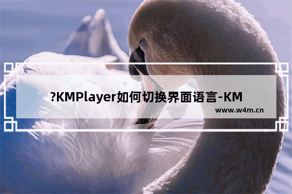 ?KMPlayer如何切换界面语言-KMPlayer切换操作界面语言的方法教程