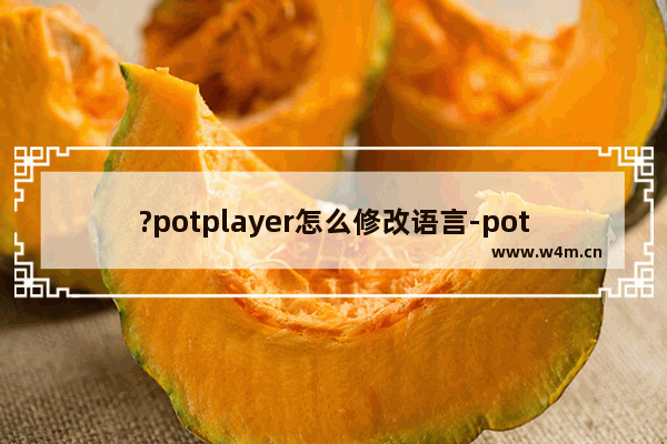 ?potplayer怎么修改语言-potplayer播放器切换界面语言的方法教程