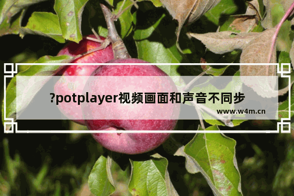 ?potplayer视频画面和声音不同步怎么调整-potplayer播放器解决音画不同步的方法教程