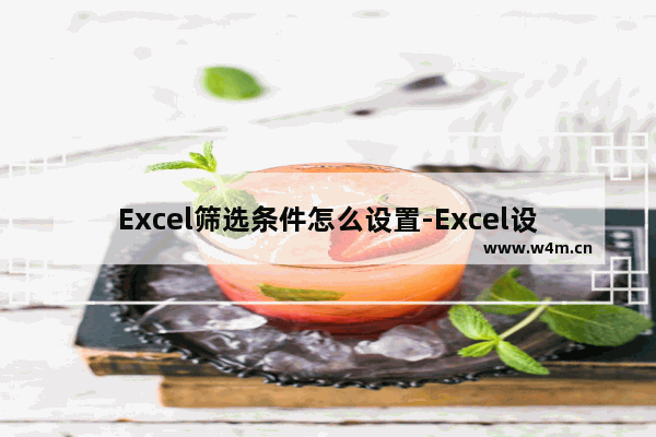 Excel筛选条件怎么设置-Excel设置筛选条件的方法