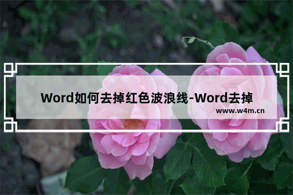 Word如何去掉红色波浪线-Word去掉红色波浪线的方法