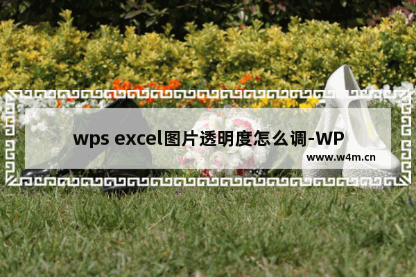 wps excel图片透明度怎么调-WPS excel设置图片透明度的方法