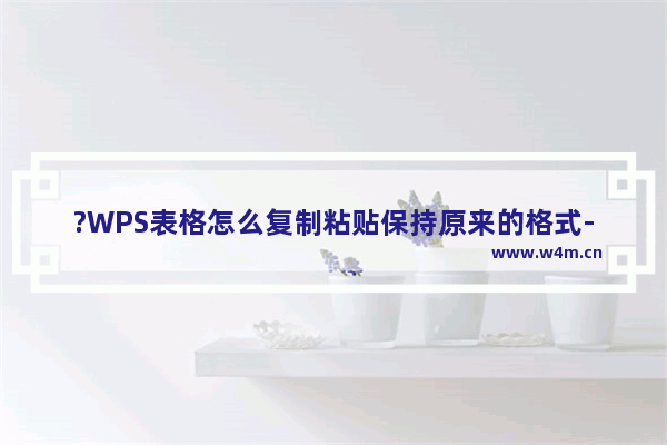 ?WPS表格怎么复制粘贴保持原来的格式-WPS表格复制一个一模一样的表格的方法教程