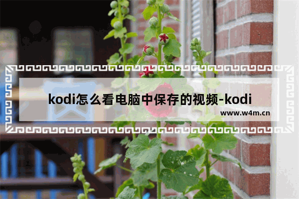 kodi怎么看电脑中保存的视频-kodi添加电脑本地视频的方法