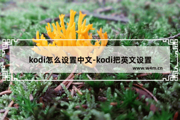 kodi怎么设置中文-kodi把英文设置成中文的方法