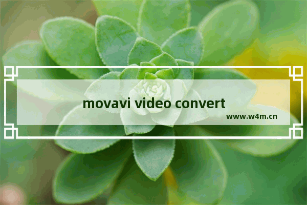 movavi video converter如何给图片添加水印-movavi video converter给图片添加水印的方法