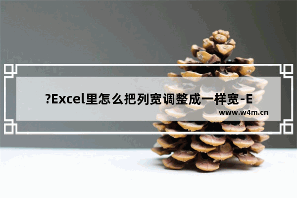 ?Excel里怎么把列宽调整成一样宽-Excel表格设置列宽一致的方法教程